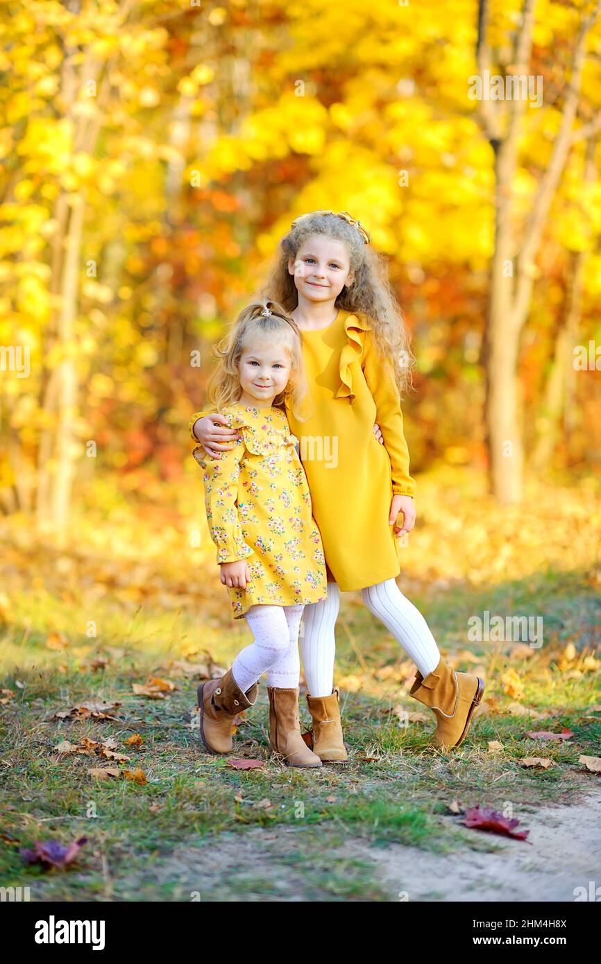 Two beautiful girls in a yellow dress walks in a beautiful autumn park, stands on a background of bright colorful foliage Stock Photo