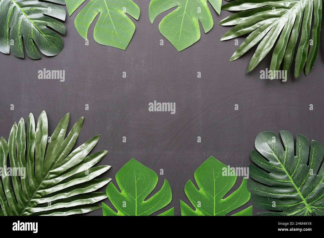 Artificial leaves on a blackboard background flatlay, with space for copy, in a dark botanical style. Stock Photo