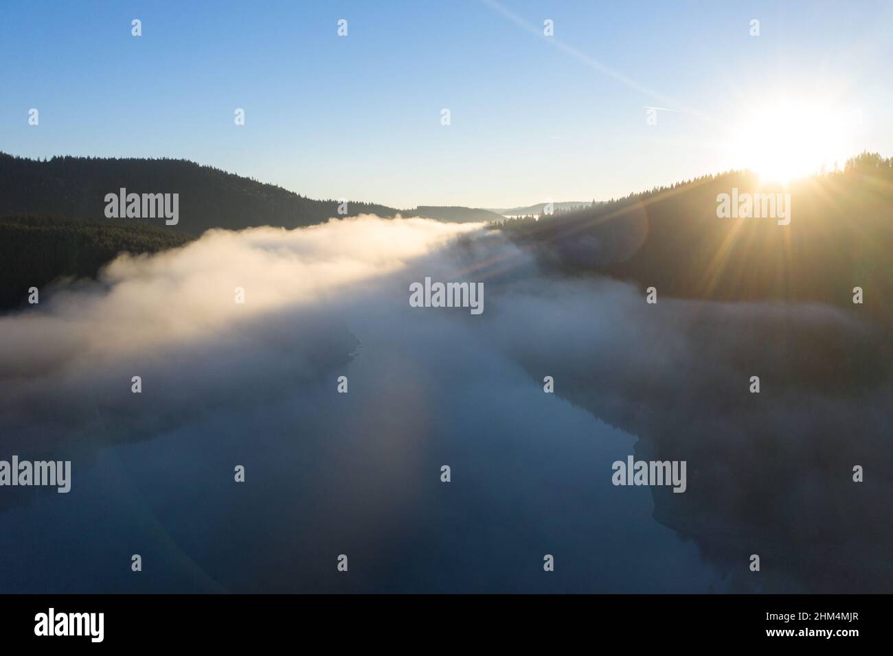 Misty drone shot flying trees hi-res stock photography and images - Alamy