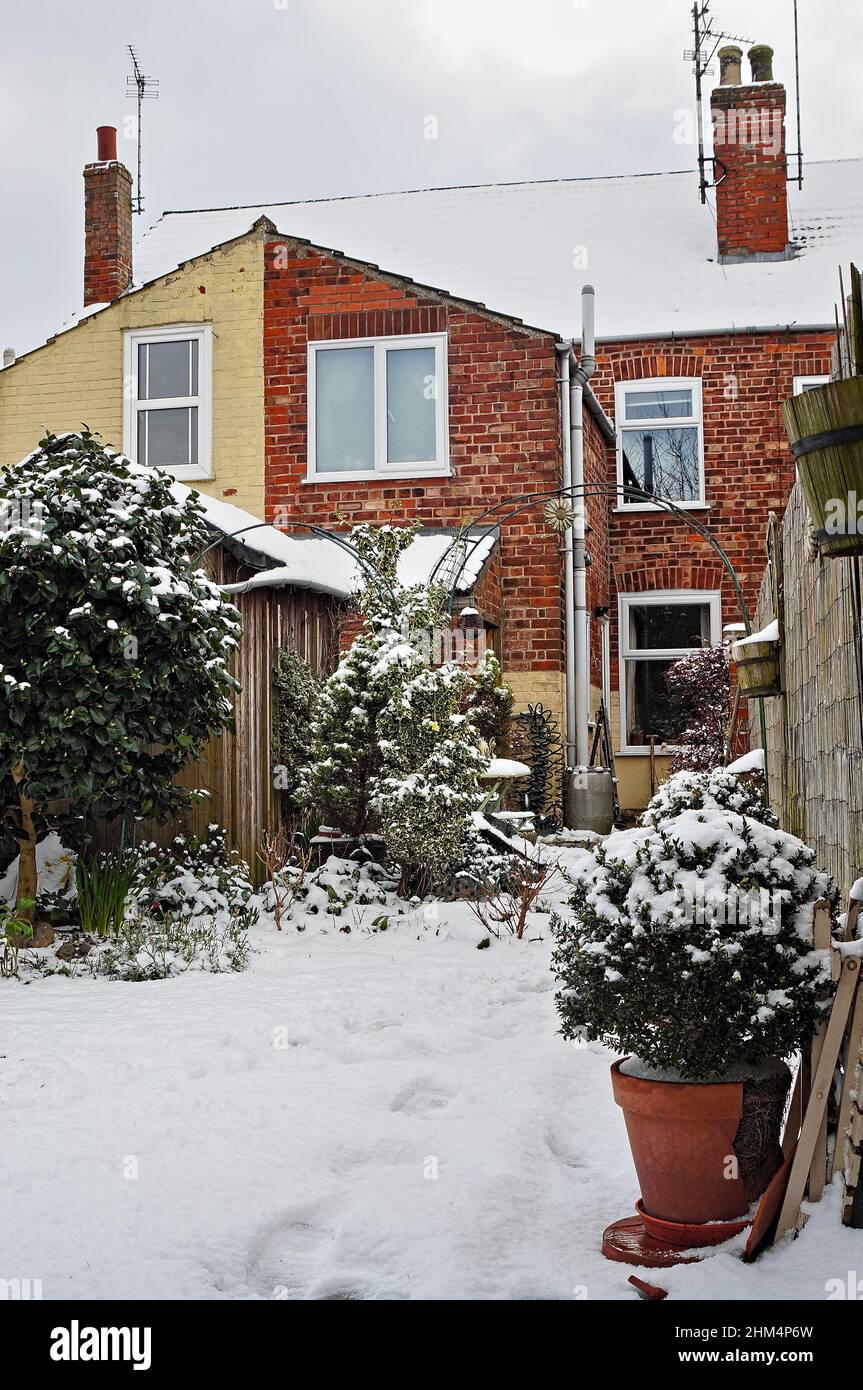 Back yard or garden with snow on the ground during winter Stock Photo