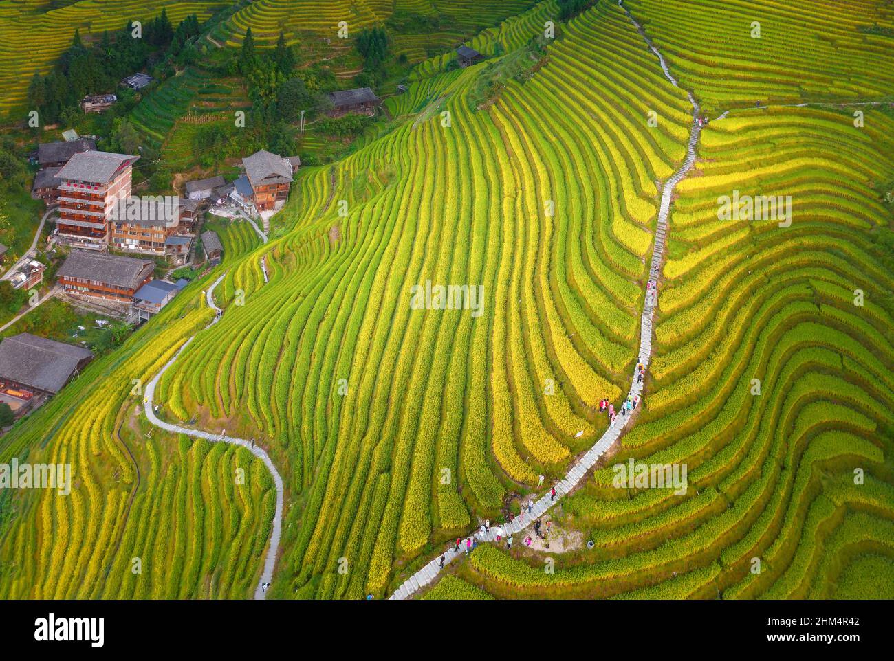 Gold reserves china hi-res stock photography and images - Alamy