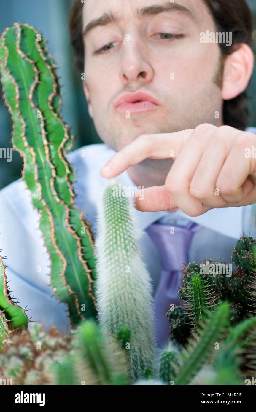 Close-Up Of A Businessman Touching A Cactus, Credit:Photoshot Creative / Stuart Cox / Avalon Stock Photo