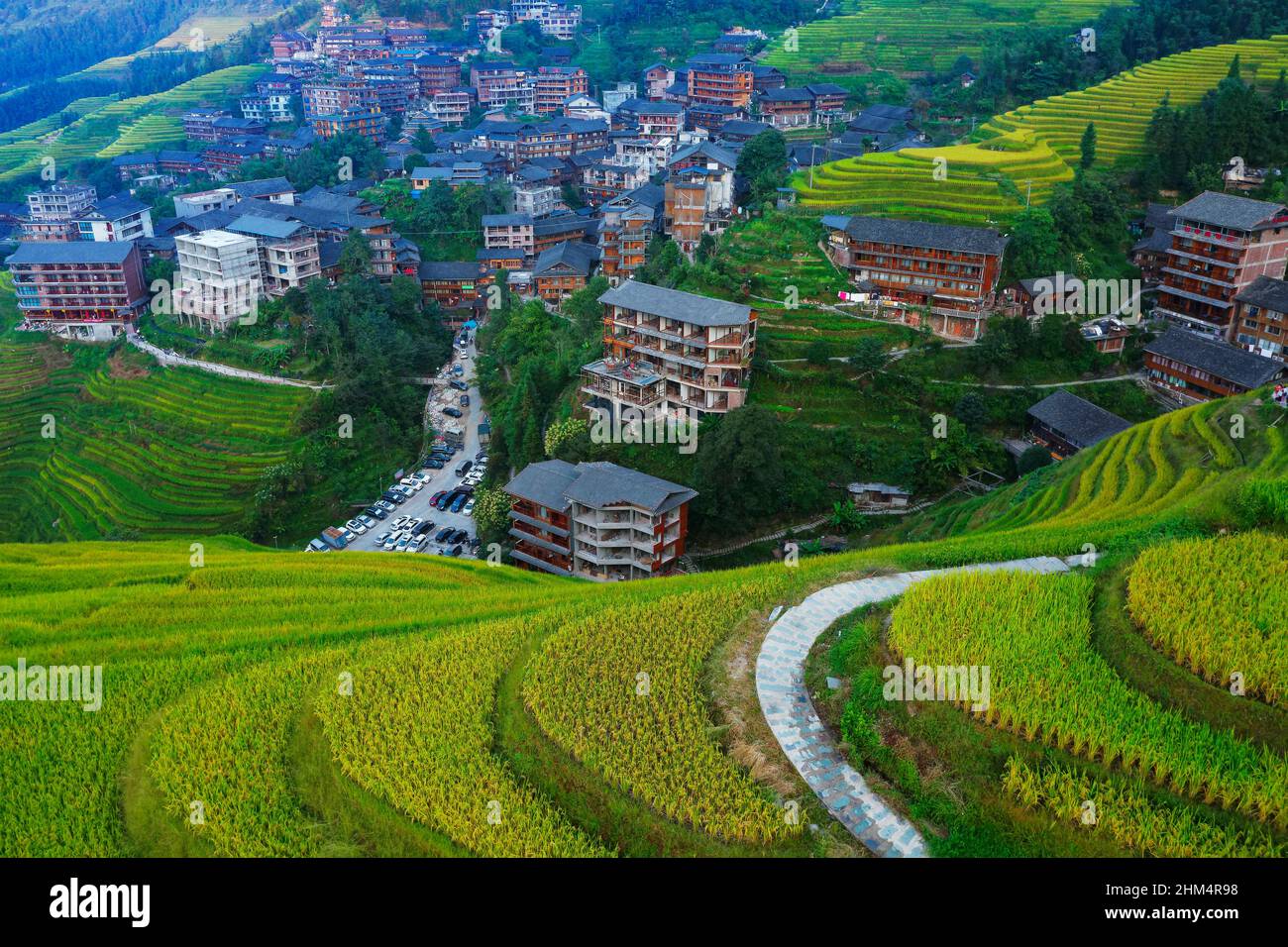 Dragon born dragon ridge terraced rice in guangxi guilin Stock Photo ...