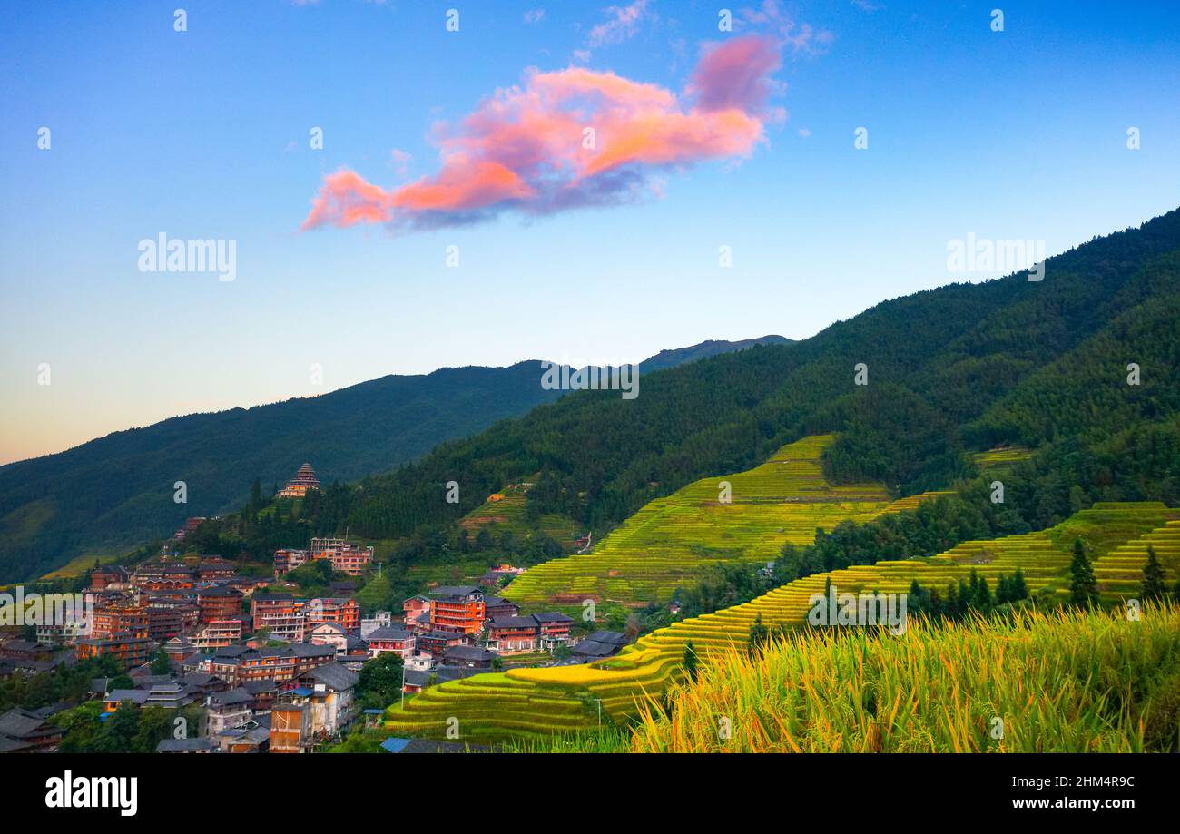 Dragon born dragon ridge terraced rice in guangxi guilin Stock Photo ...