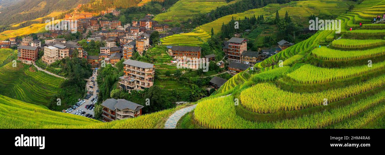 Dragon born dragon ridge terraced rice in guangxi guilin Stock Photo ...