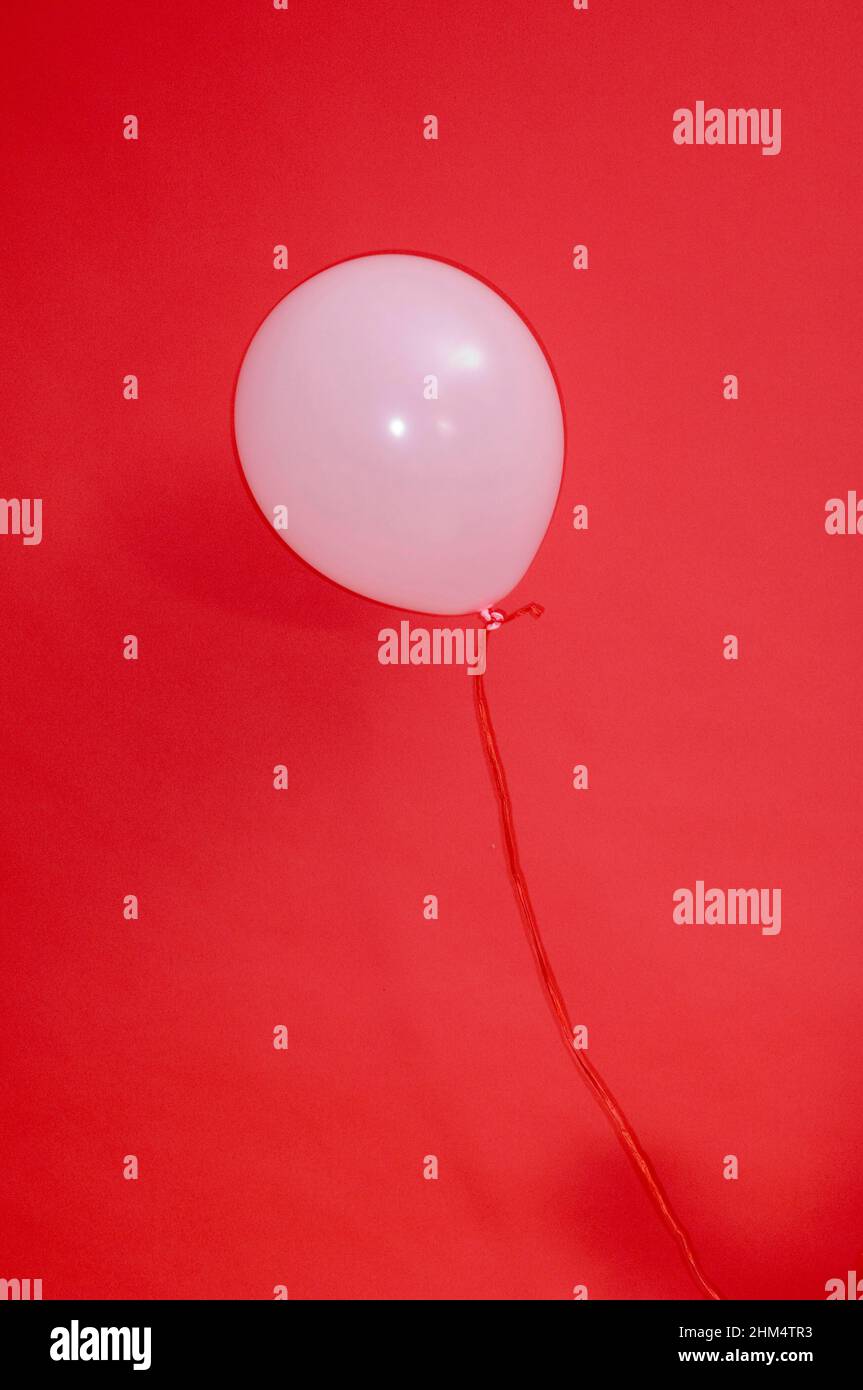 Close-Up Of A Balloon, Credit:Photoshot Creative / Stuart Cox / Avalon Stock Photo