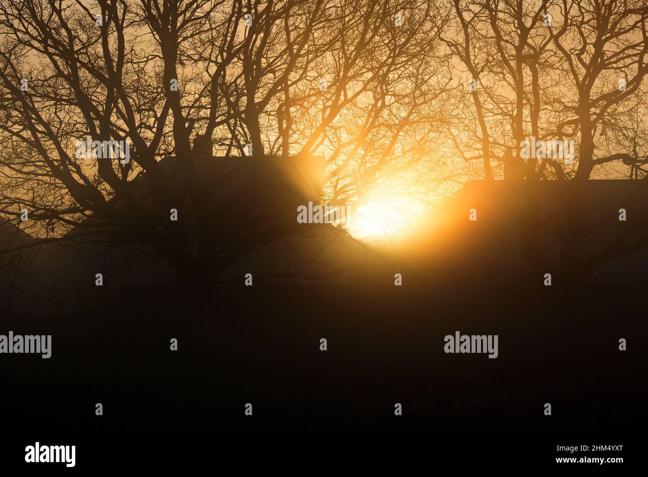 The sun rises in a mistcovered park in Ilford, East London, in the