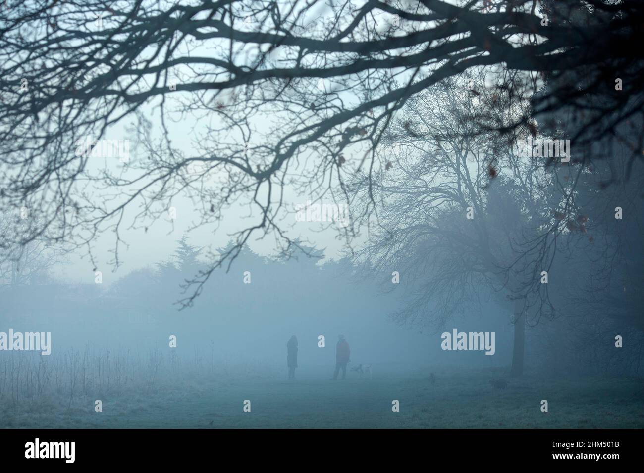 People walk dogs in a mistcovered park in Ilford, East London, in the