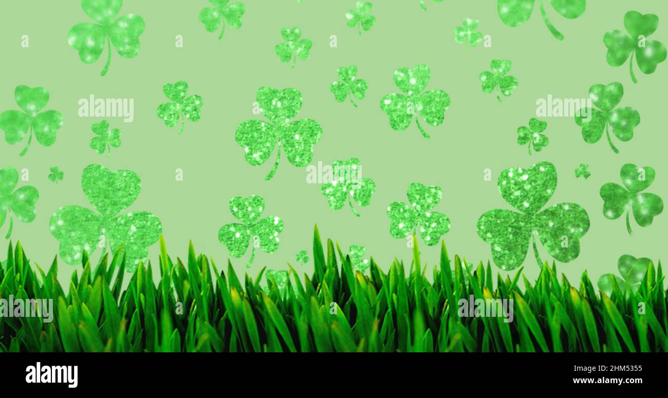 Image of clovers and grass on green background Stock Photo - Alamy