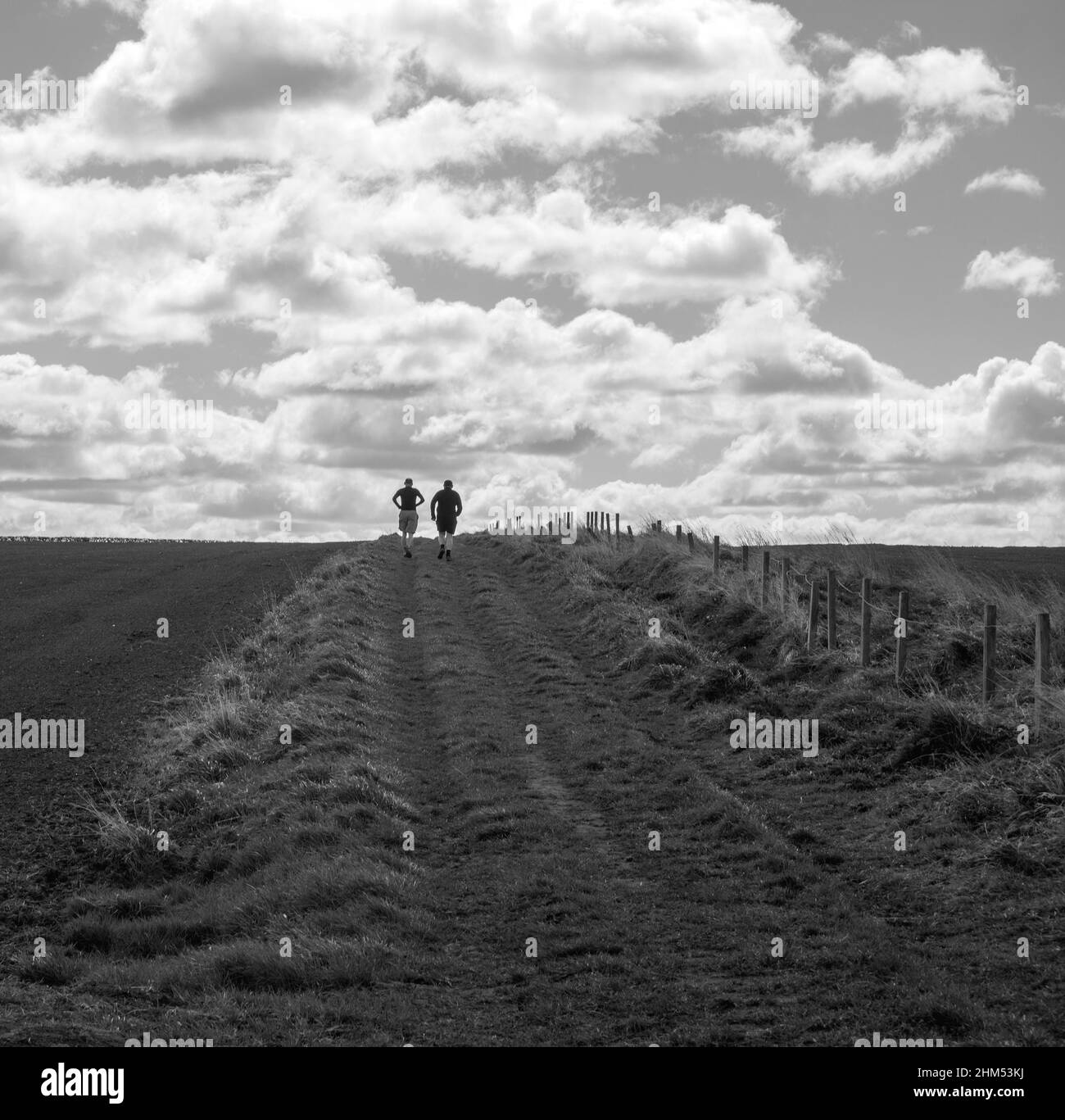 Square mono image of two male runners heading towards the horizon across fields and silhouetted against the sky Stock Photo
