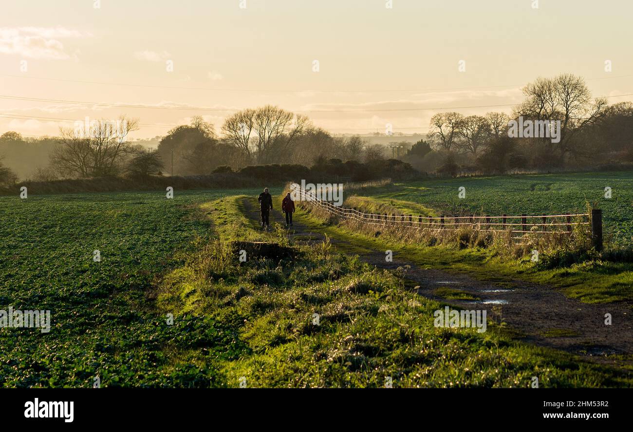 Colour image of a couple walking along a country path between fields highlighted by side lighting from a low  sun Stock Photo
