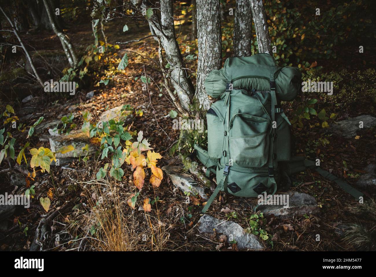 Outdoor hiking backpack color hi-res stock photography and images - Alamy