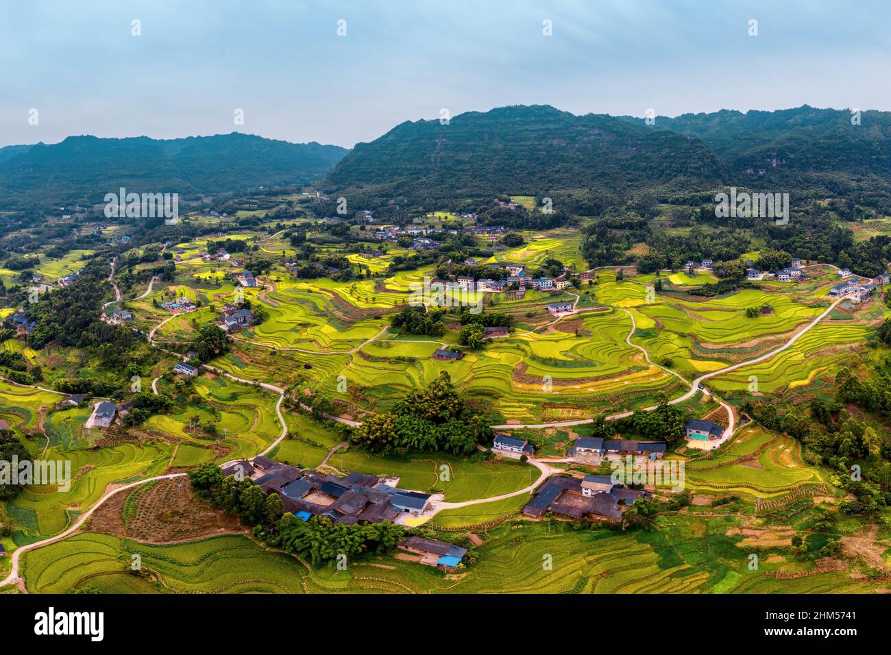 Farmers planting trees hi-res stock photography and images - Alamy