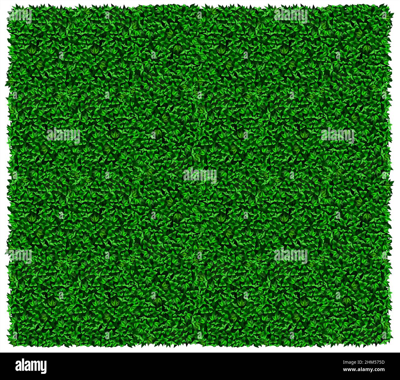 Texture of green wall of grapes or ivy. Vector graphics. Green leaves Stock Vector