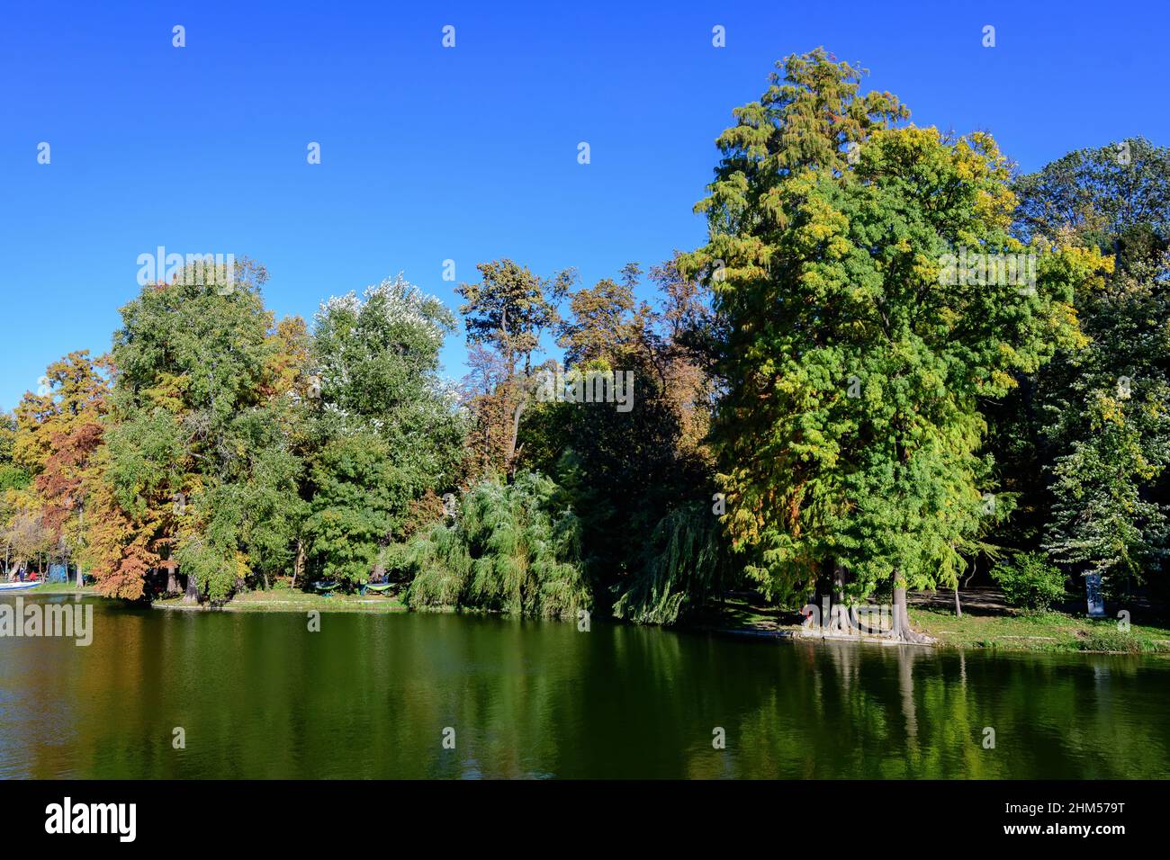 Landscape with many large green trees near the lake in Carol Park in Bucharest, Romania,  in a sunny autumn day Stock Photo