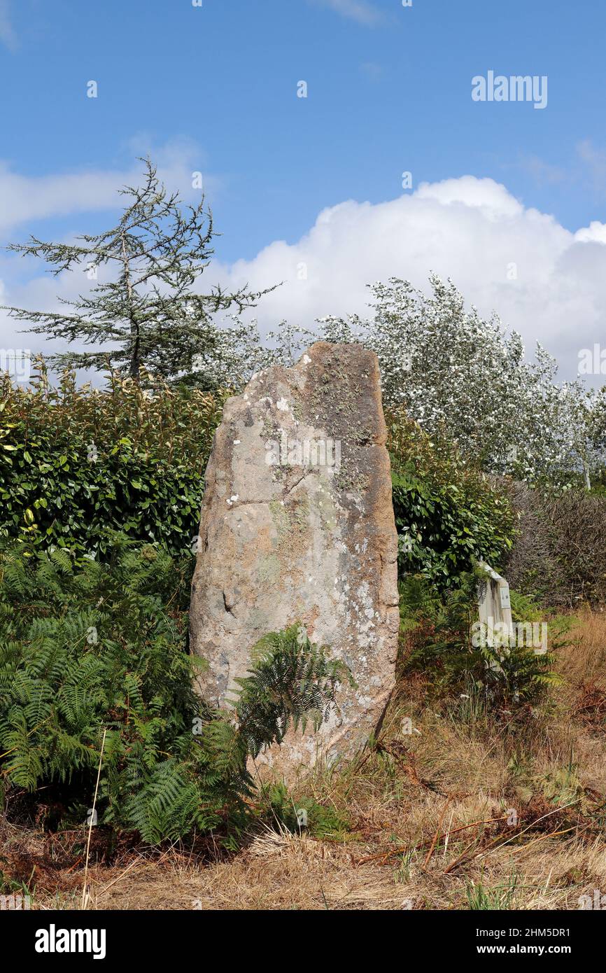 Menhir of Kerariou - megalithic monument near Trebeurden in Brittany, France Stock Photo