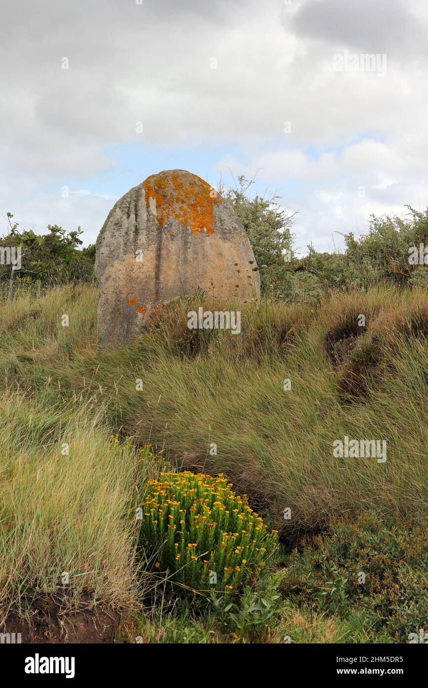 Menhir of Run ar Gam near Trebeurden in Brittany, France Stock Photo