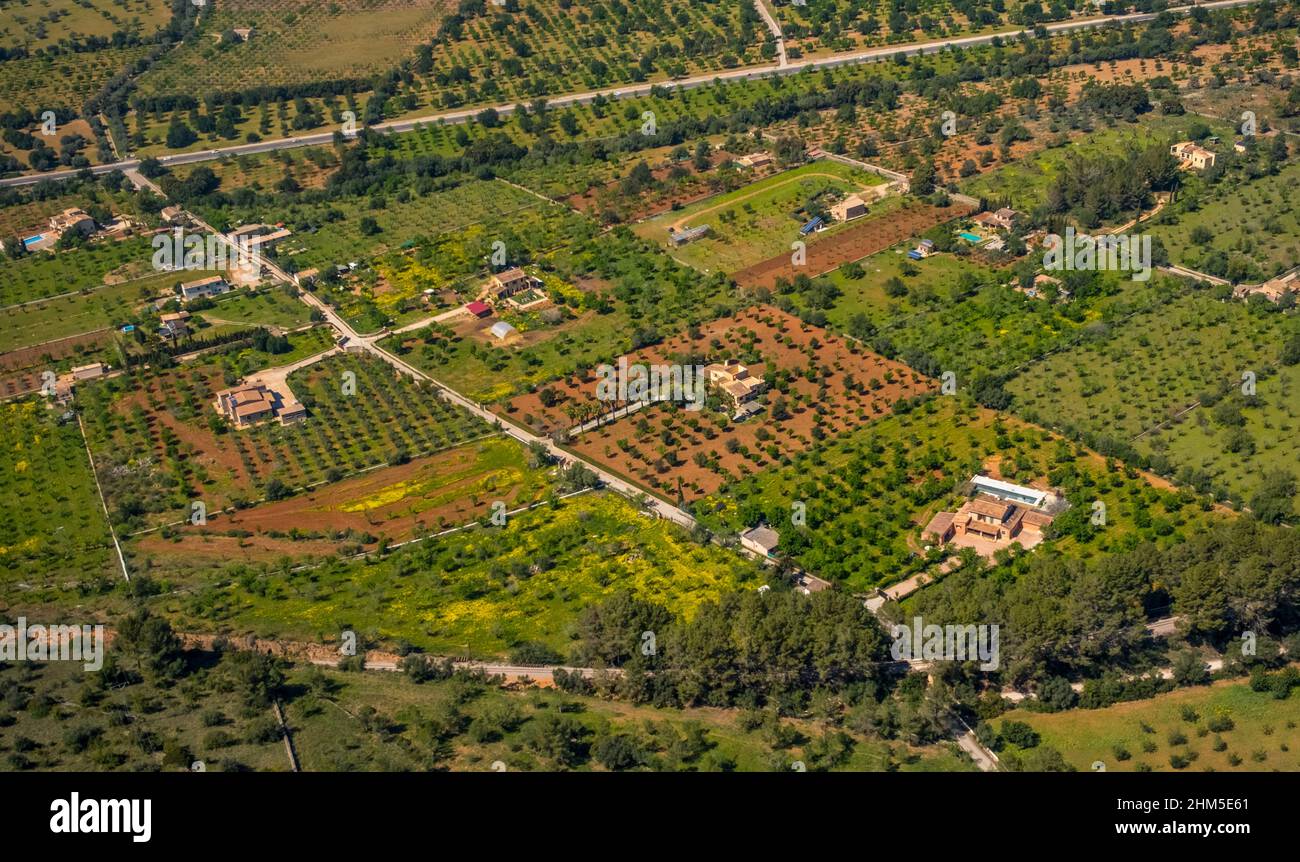 Aerial view, Fincas near Buñola, Bunyola, Pla de na Tesa, Cabaneta (Sa), Mallorca, Balearic Island, Balearic Islands, Baleares, Spain, ESP, Europe, bi Stock Photo
