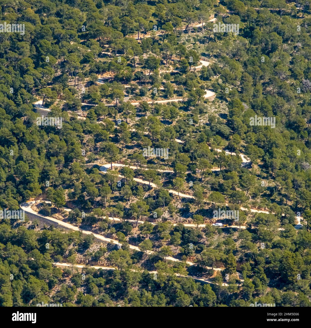Aerial view, serpentine path near Buñola, Bunyola, Pla de na Tesa, Cabaneta (Sa), Mallorca, Balearic Island, Balearic Islands, Baleares, Spain, ESP, E Stock Photo