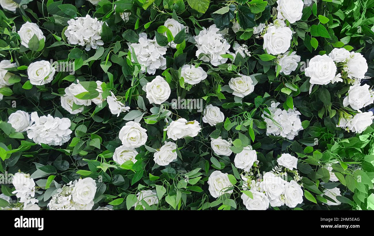 Festive wed background. Bush with many white roses and hydrangeas in a ...