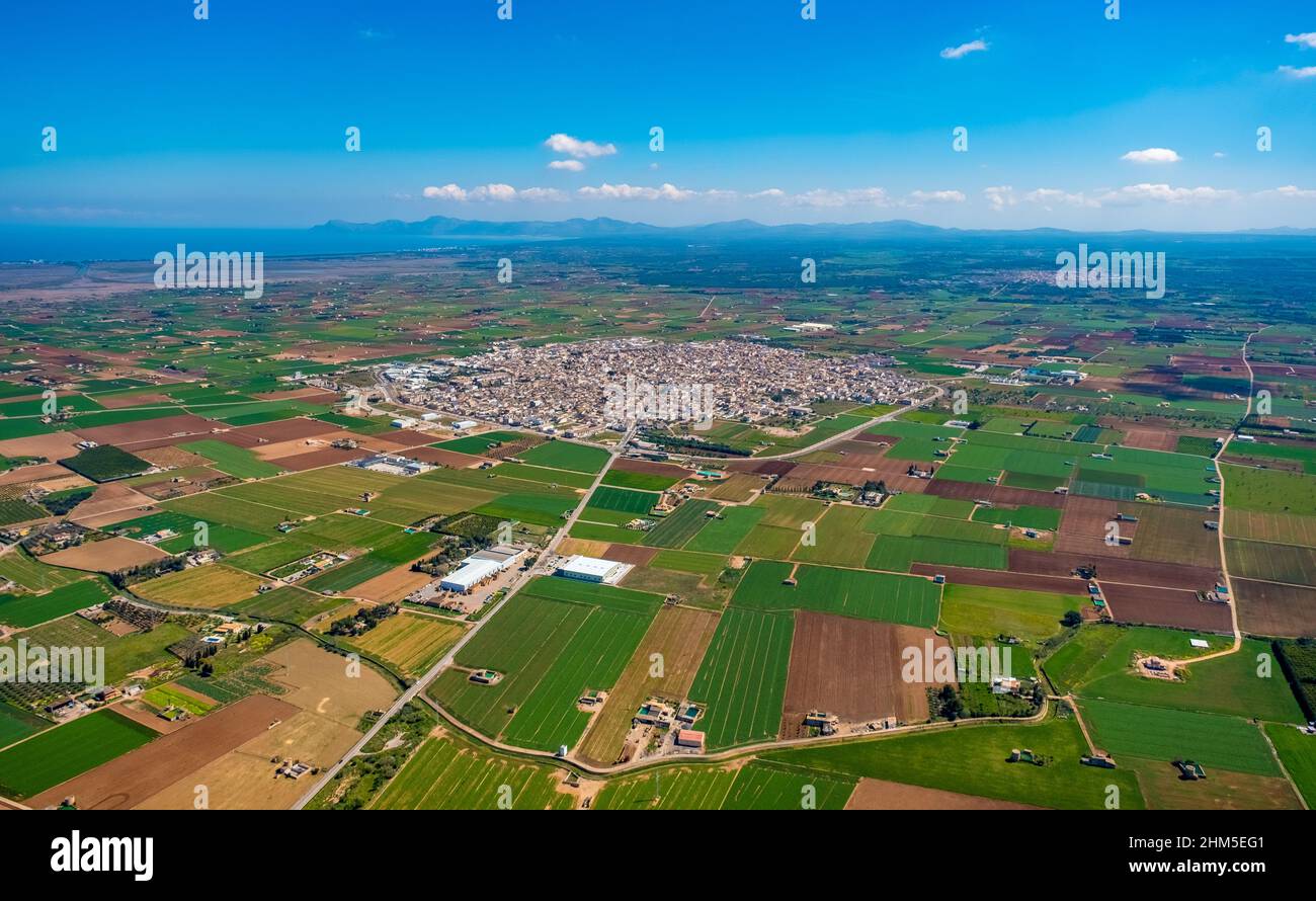Aerial view, Sa Pobla, Pla de na Tesa, Cabaneta (Sa), Mallorca, Balearic Island, Balearic Islands, Baleares, Spain, ESP, Europe, birds-eyes view, aeri Stock Photo