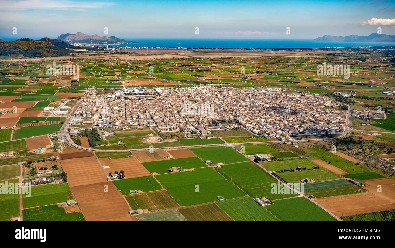 Aerial view, Sa Pobla, Pla de na Tesa, Cabaneta (Sa), Mallorca, Balearic Island, Balearic Islands, Baleares, Spain, ESP, Europe, birds-eyes view, aeri Stock Photo