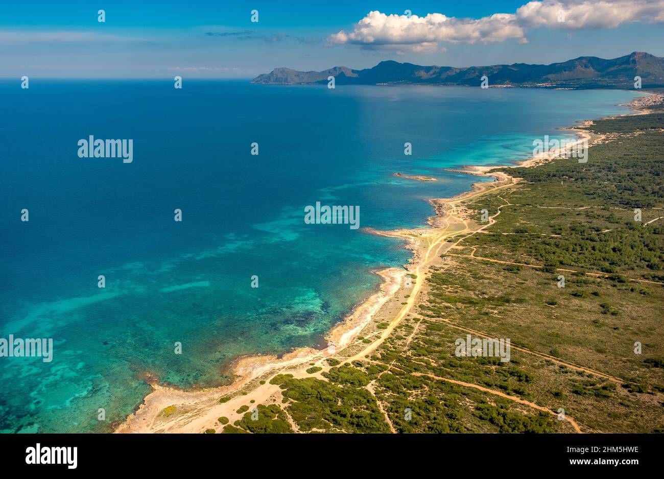 Aerial view, sandy beach of Can Picafort, Illes Balears, Mallorca, Balearic Island, Balearic Islands, Baleares, Spain, Bunyola, ESP, Europe, birds-eye Stock Photo