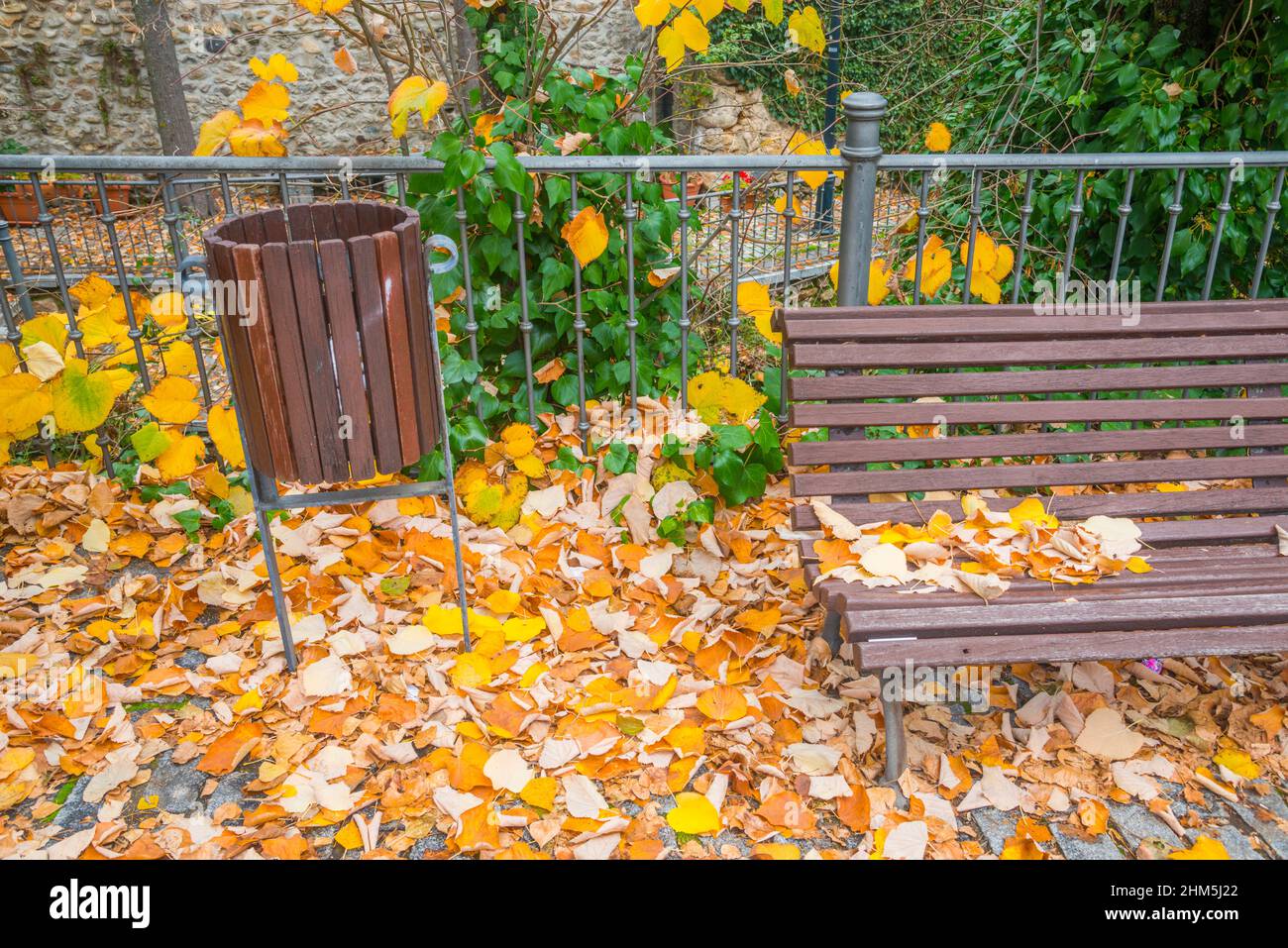 Bench and litter bin in Autumn. Stock Photo
