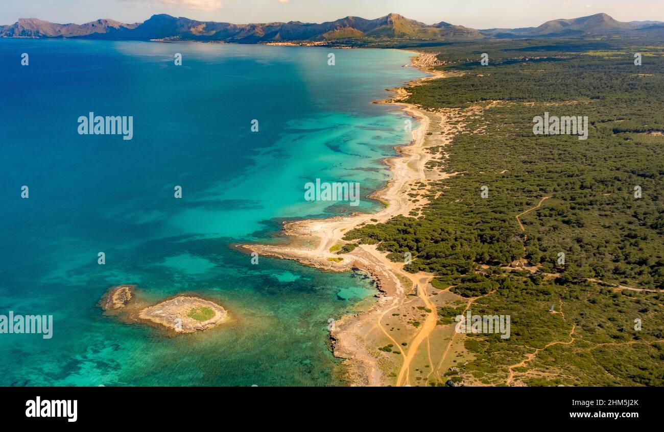 Aerial view, sandy beach of Can Picafort, Illes Balears, Mallorca, Balearic Island, Balearic Islands, Baleares, Spain, Bunyola, ESP, Europe, birds-eye Stock Photo