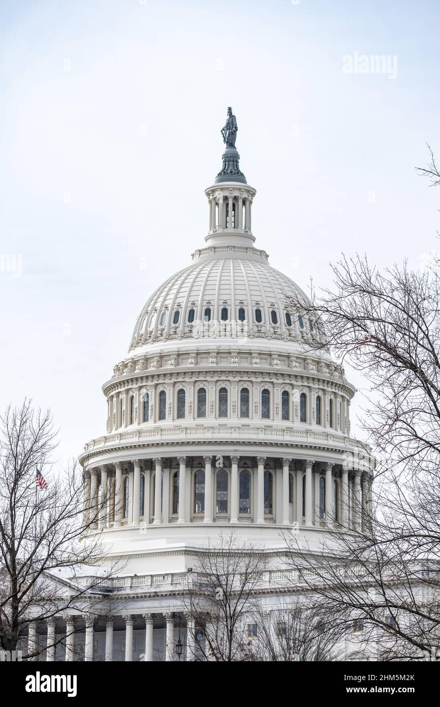 Vertical photograph of the US Capitol Building, Washington DC Stock Photo