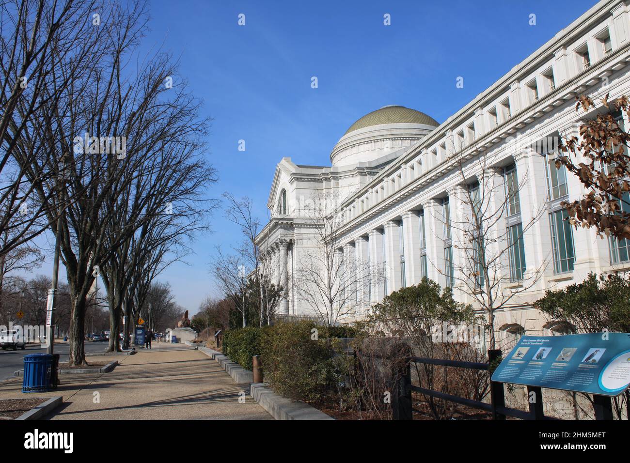 Entrance of the National Museum of Natural History, a Smithsonian Museum, in Washington, DC Stock Photo