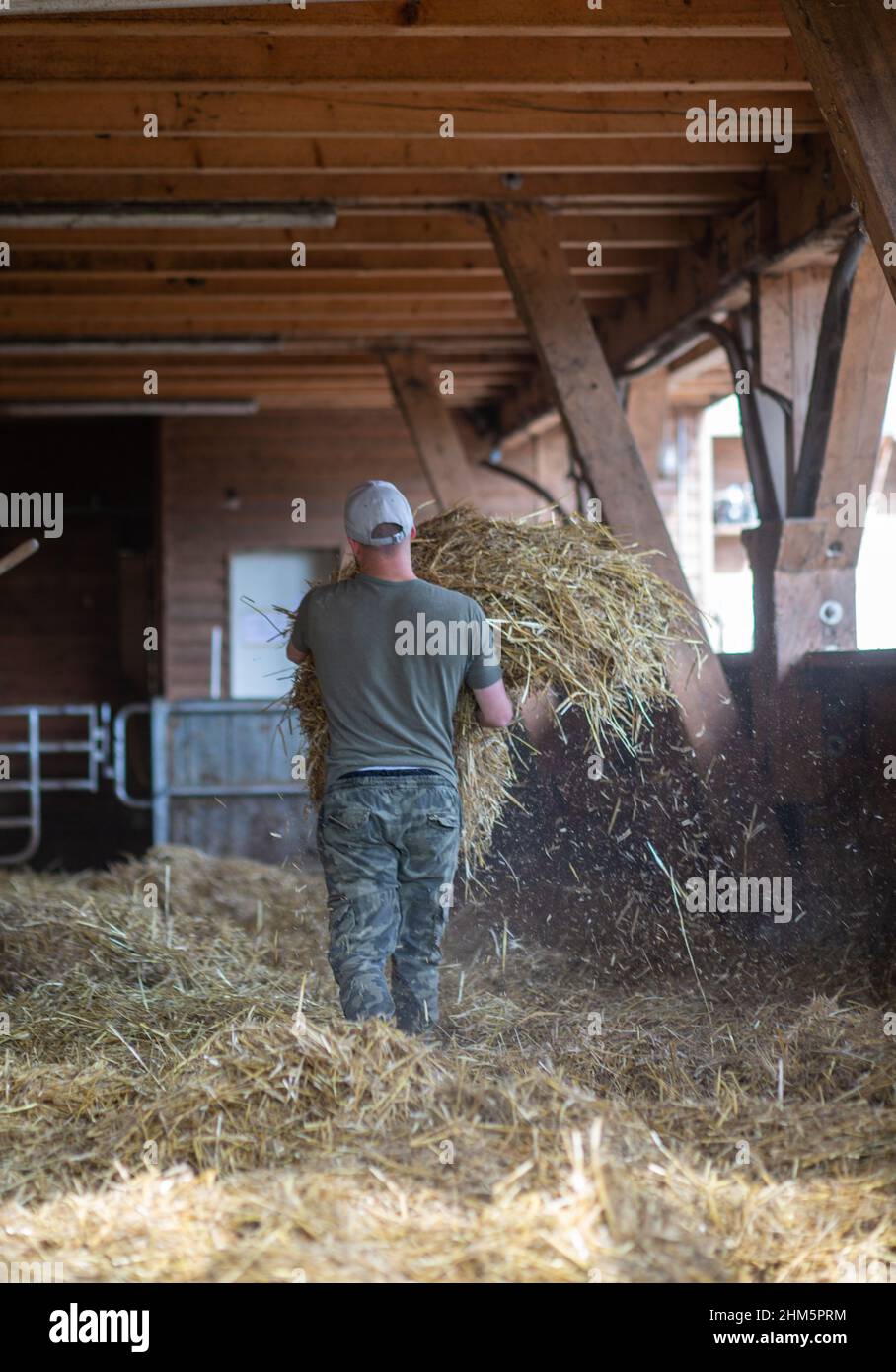 Animal feed in barn hi-res stock photography and images - Alamy
