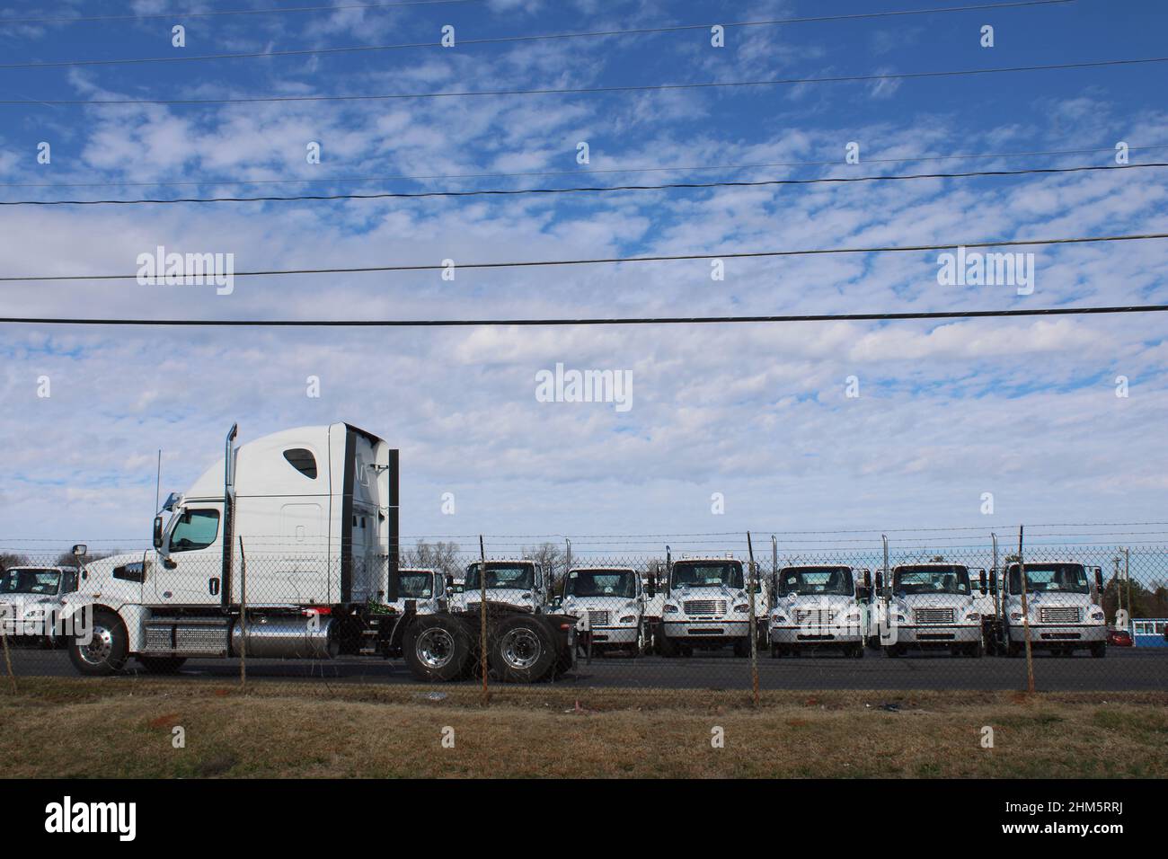 New white trucks on factory lot Stock Photo
