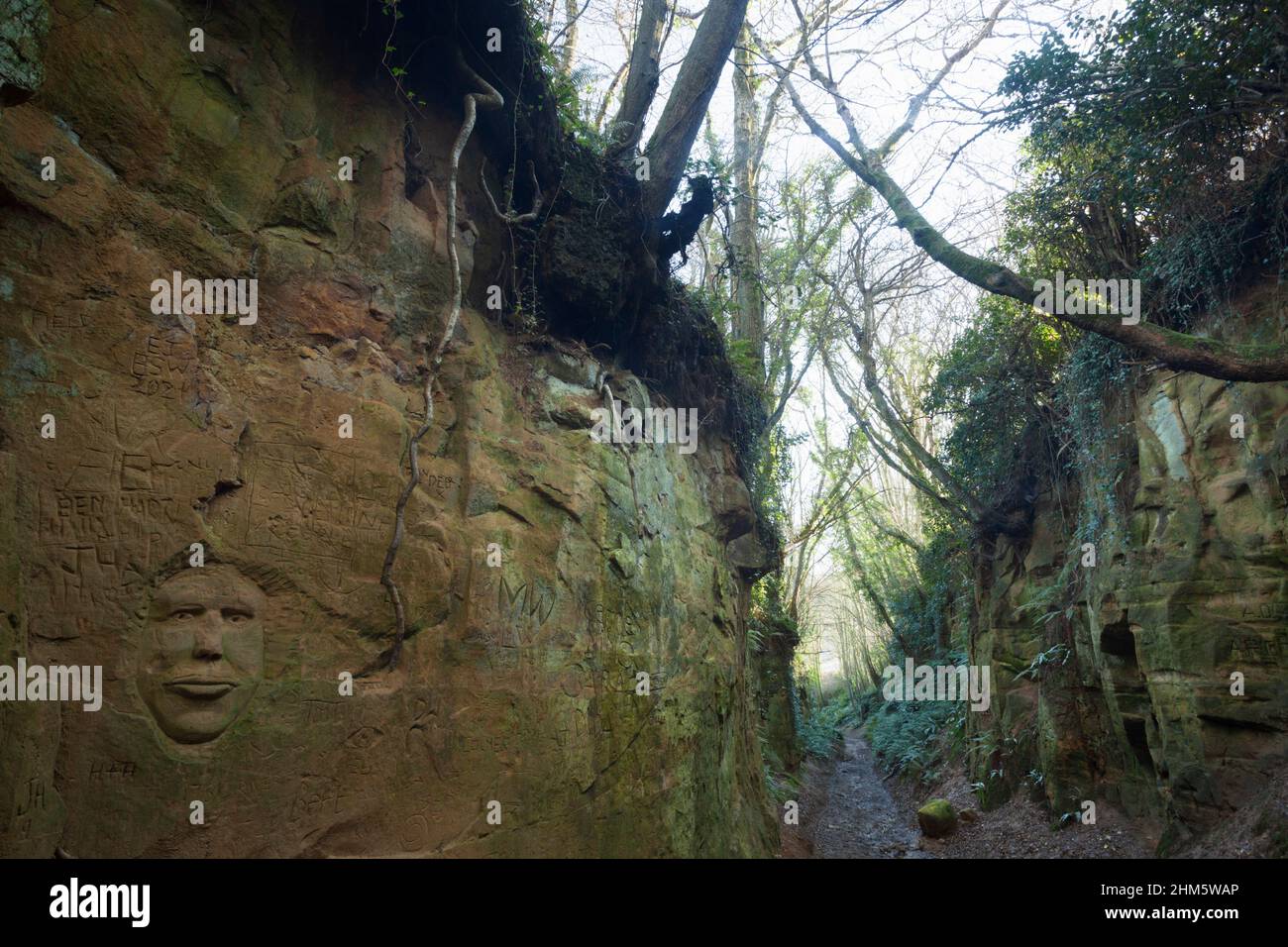 Face carving in a deep holloway worn into the soft sandstone bedrock from hundreds of years of footfall. Dorset, UK. Stock Photo