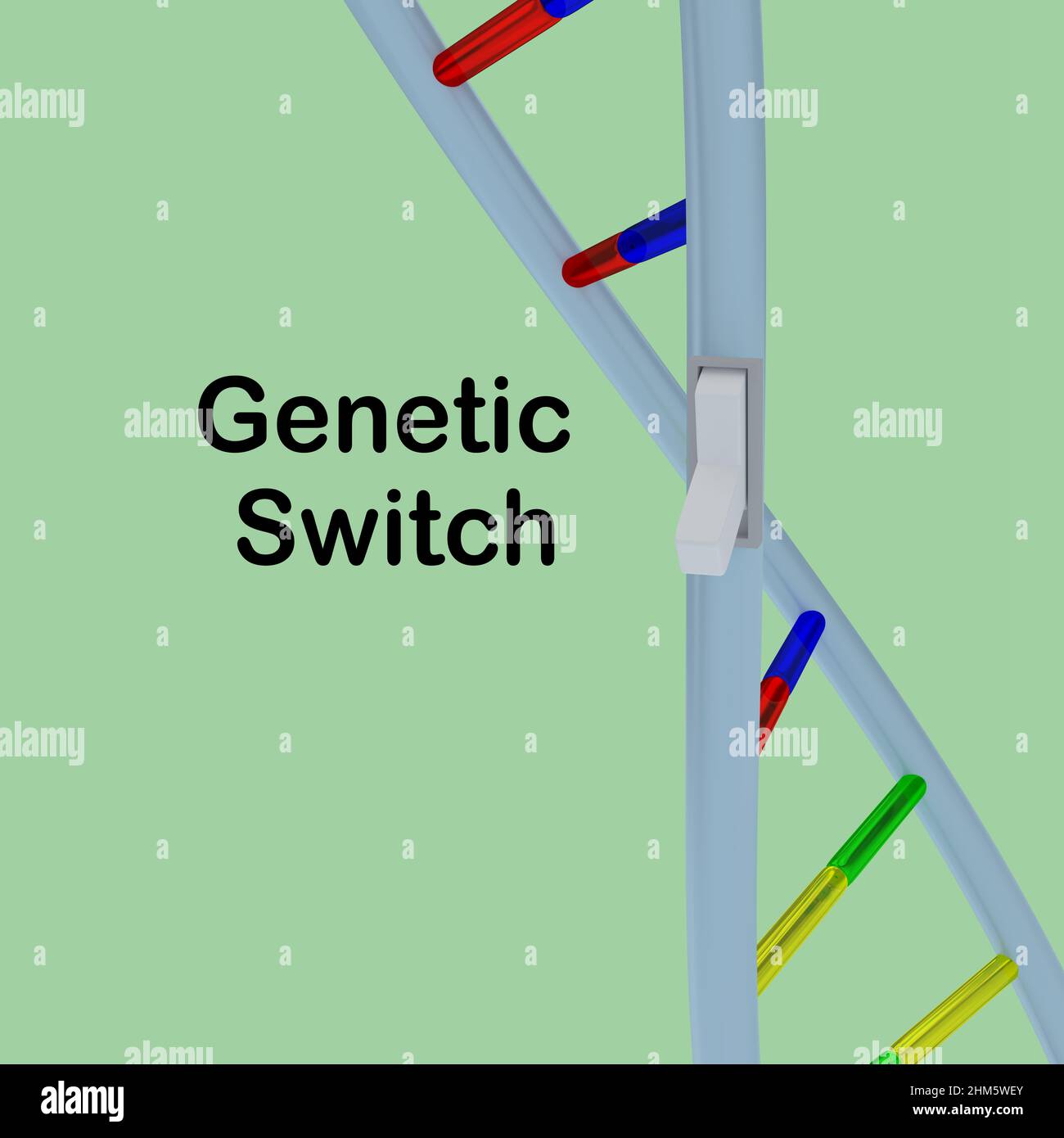 3D illustration of symbolic switch on a DNA double helix , isolated over green Stock Photo Alamy