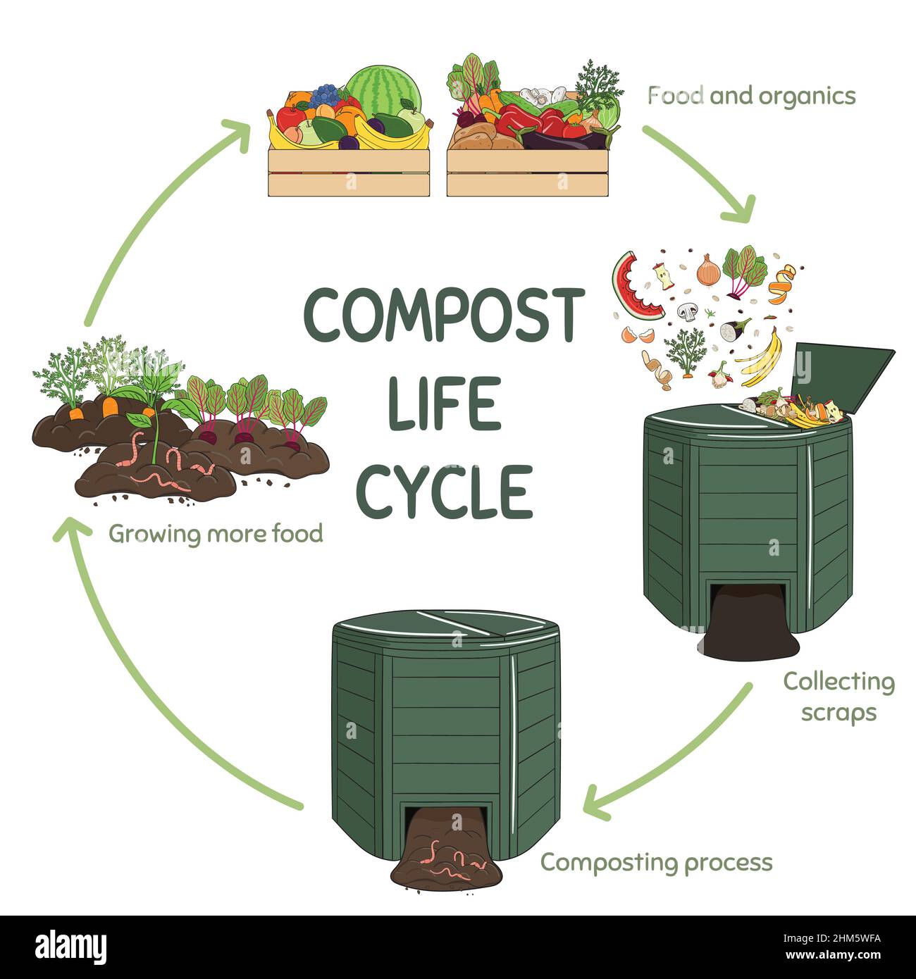 Compost life circle infographic. Composting process. Schema of recycling organic waste from collecting kitchen scraps to use compost for farming. Stock Vector