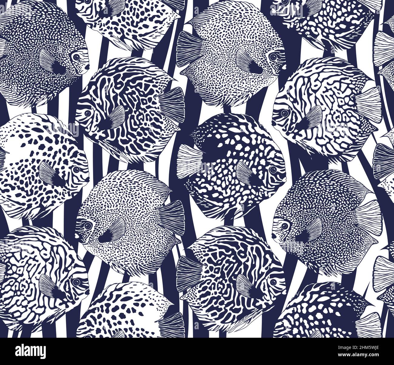 Two fish project hi-res stock photography and images - Alamy