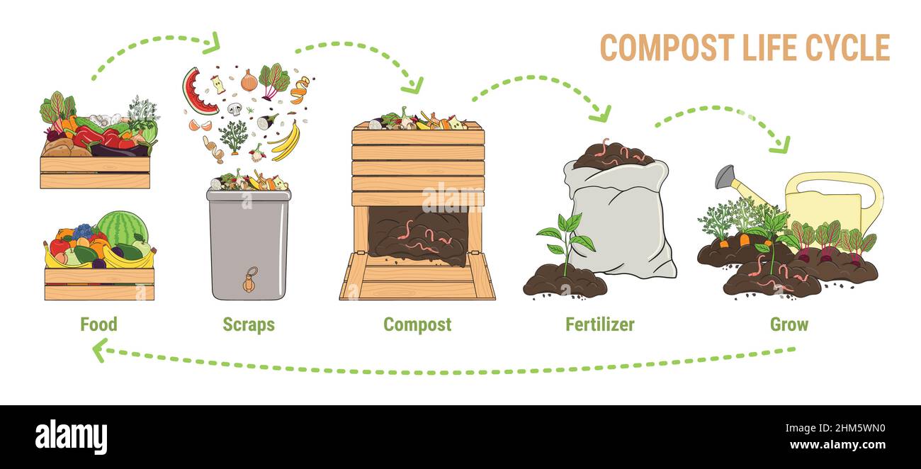 Compost life circle infographic. Composting process. Schema of