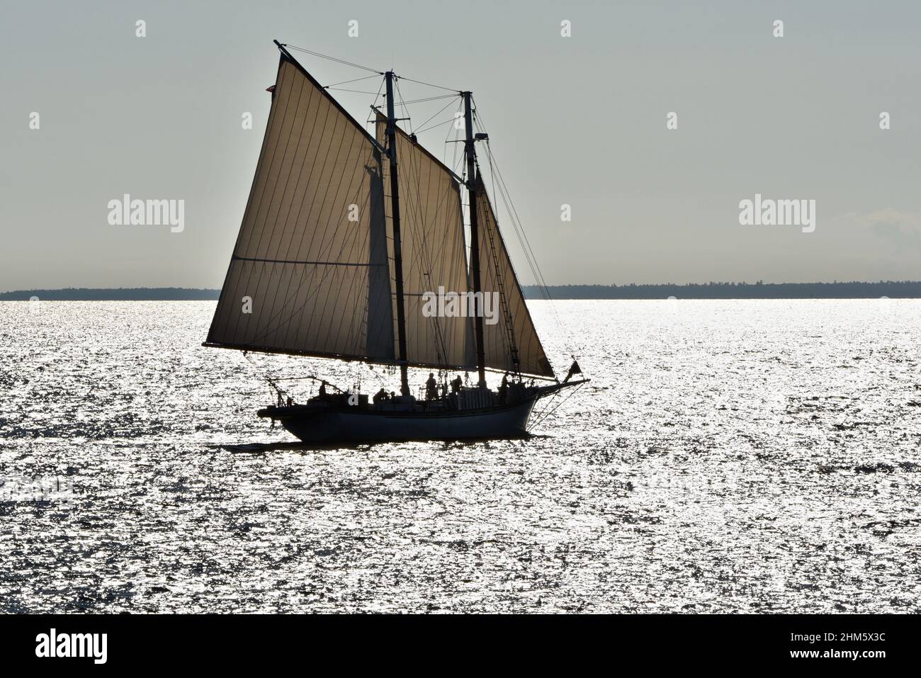 Sailboat yacht departing harbor in bright early morning on summer day ...