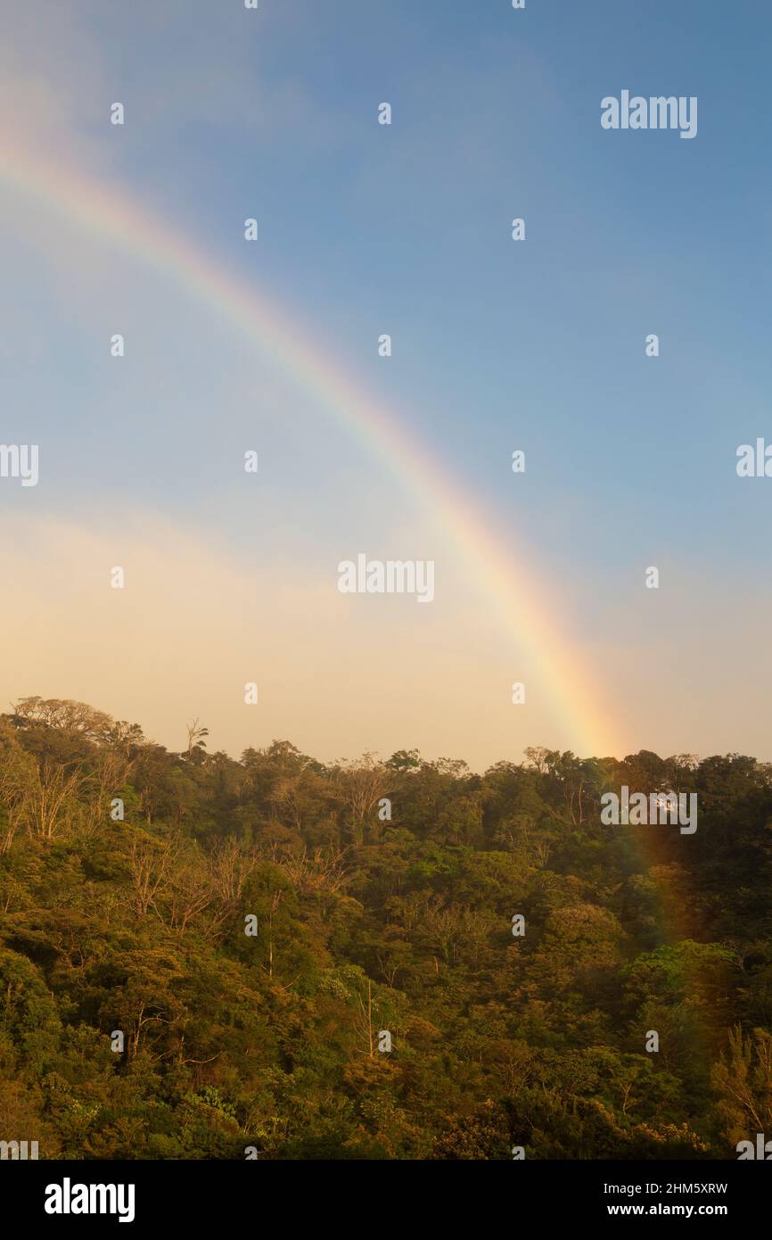 Rainbow over canopy of Monteverde Cloud Forest Reserve, Santa Elena, Costa Rica. Stock Photo