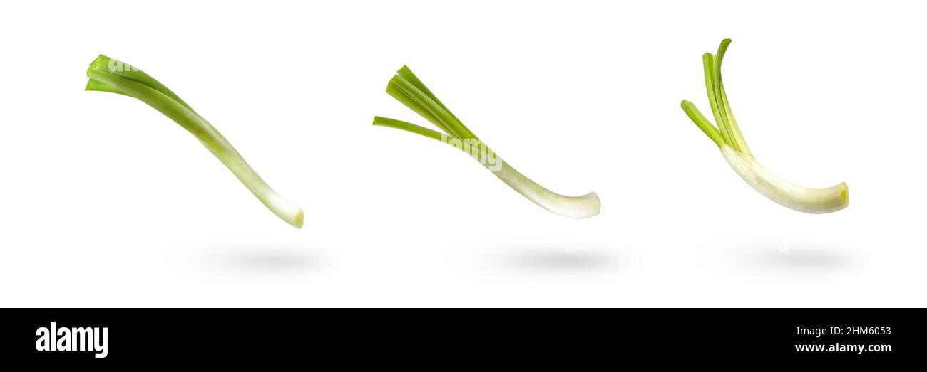 Set sliced green onion on a white background. Green onion slices fall ...