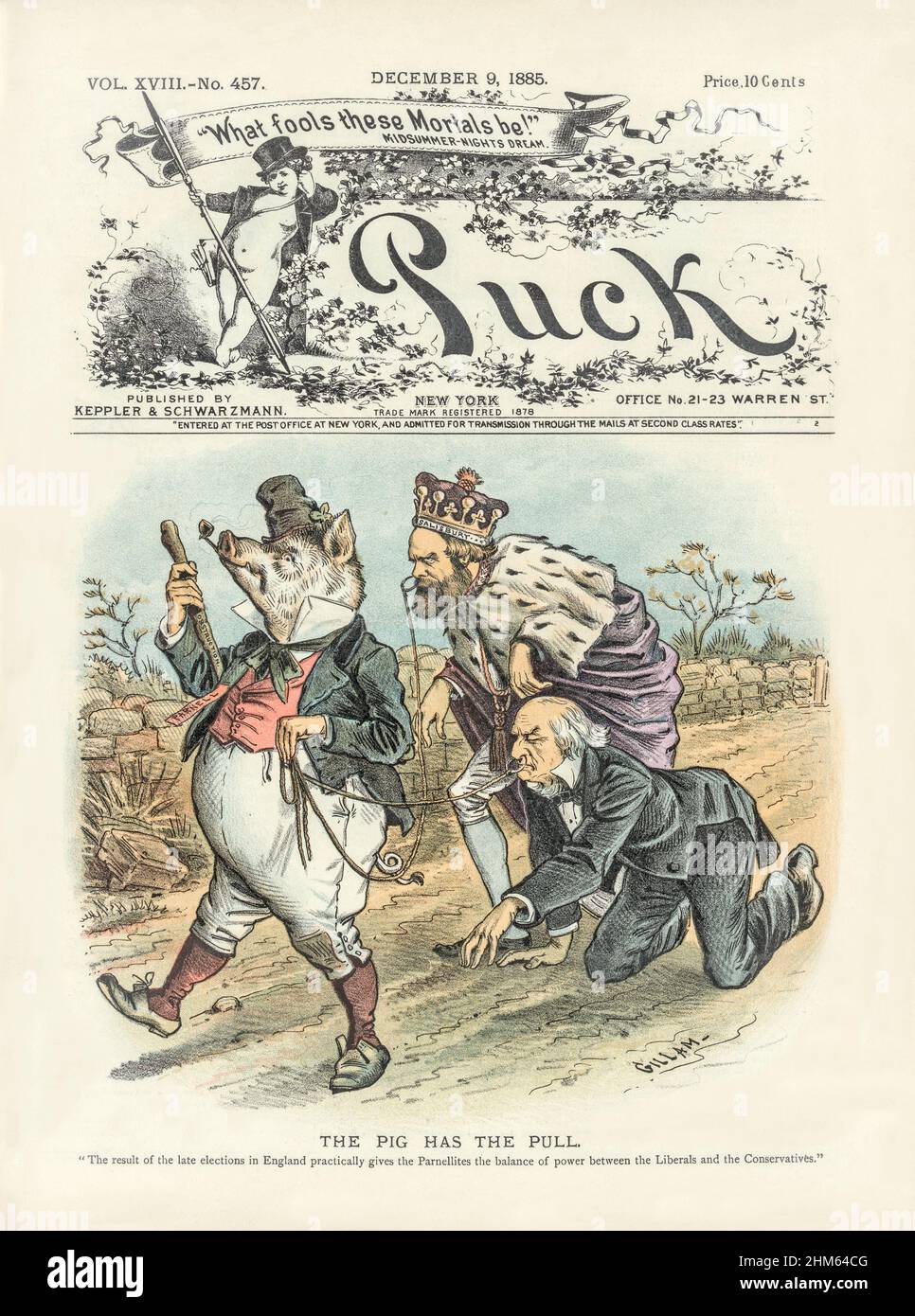 A late 19th century American Puck Magazine cover with a cartoon of an Irish pig labelled 'Parnell', carrying a shillelagh labelled 'Obstruction' walking down a road with leashes attached to a nose ring on the Marquess of 'Salisbury' and on the former British Prime Minister William E. Gladstone, crawling on his hands and knees. Stock Photo