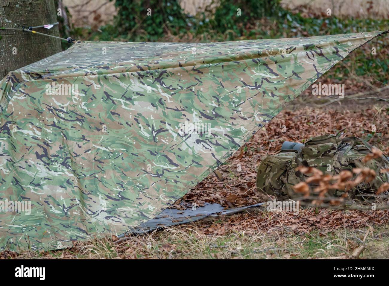 British Army Soldier Camouflage Temporary Tent Cover Erected Amongst A british-army-soldier-camouflage-temporary-tent-cover-erected-amongst-a