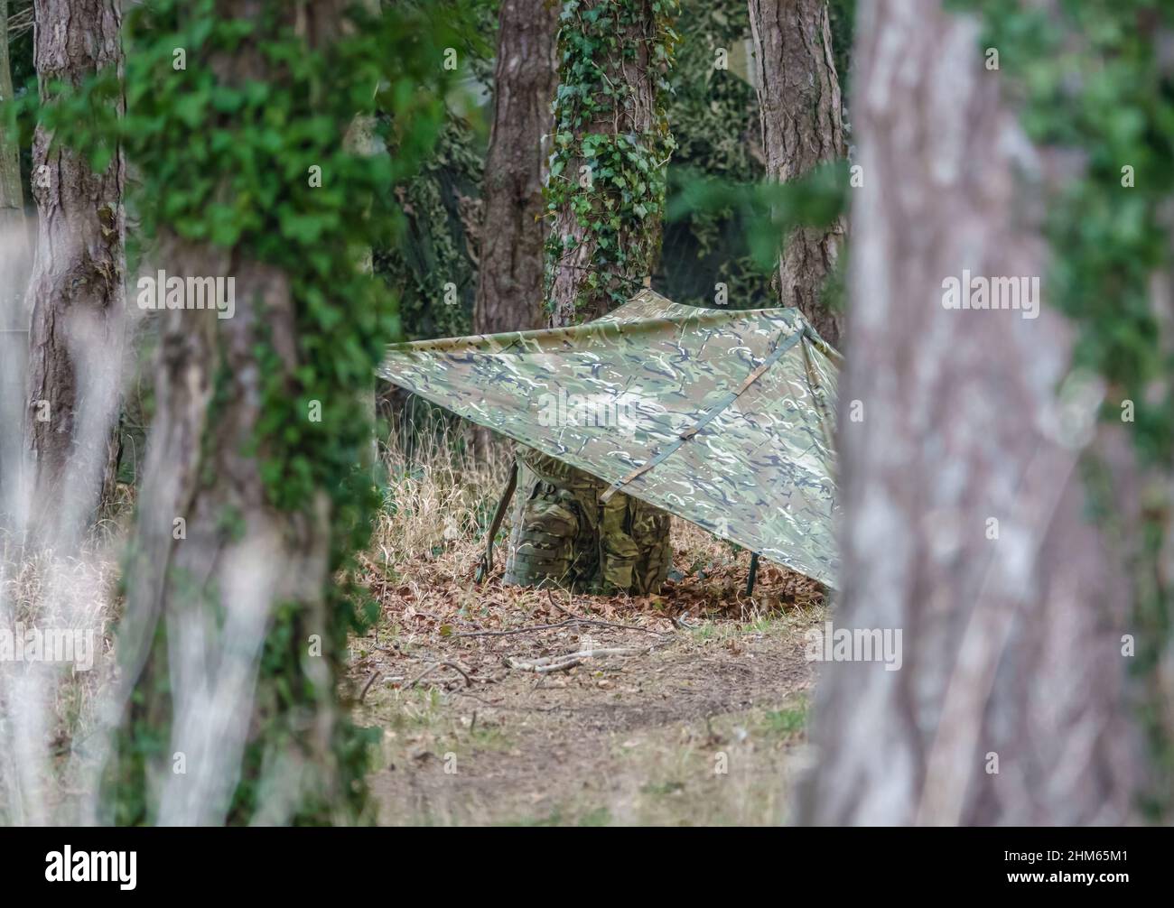 British Army Soldier Camouflage Temporary Tent Cover Erected Amongst A british-army-soldier-camouflage-temporary-tent-cover-erected-amongst-a