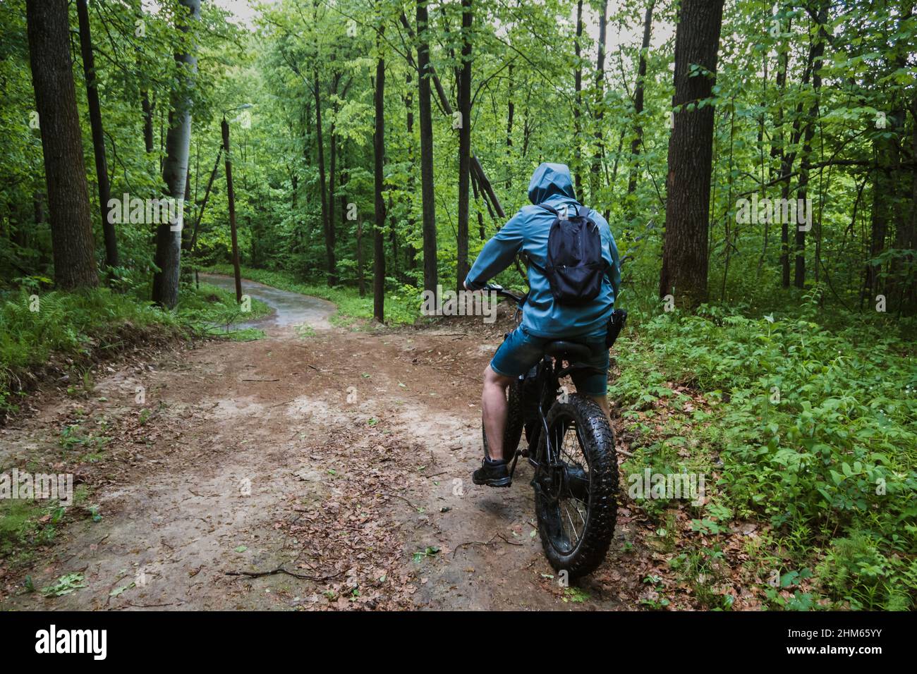 A man on an electric bike with thick wheels rides through a wet forest. Cool sports hobby. Stock Photo