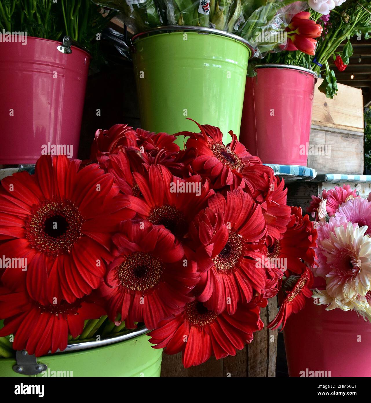 Flower Market Close Up with Flowers, Pink and Lime Green Containers and Wood Box Shelves Stock Photo