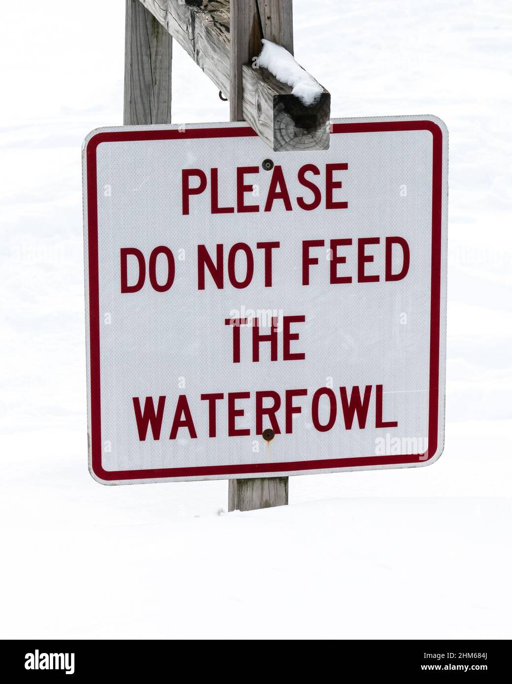 Red and white sign Please do not feed the waterfowl at the village beach in Speculator, NY in mid winter with snow and ice on the ground Stock Photo