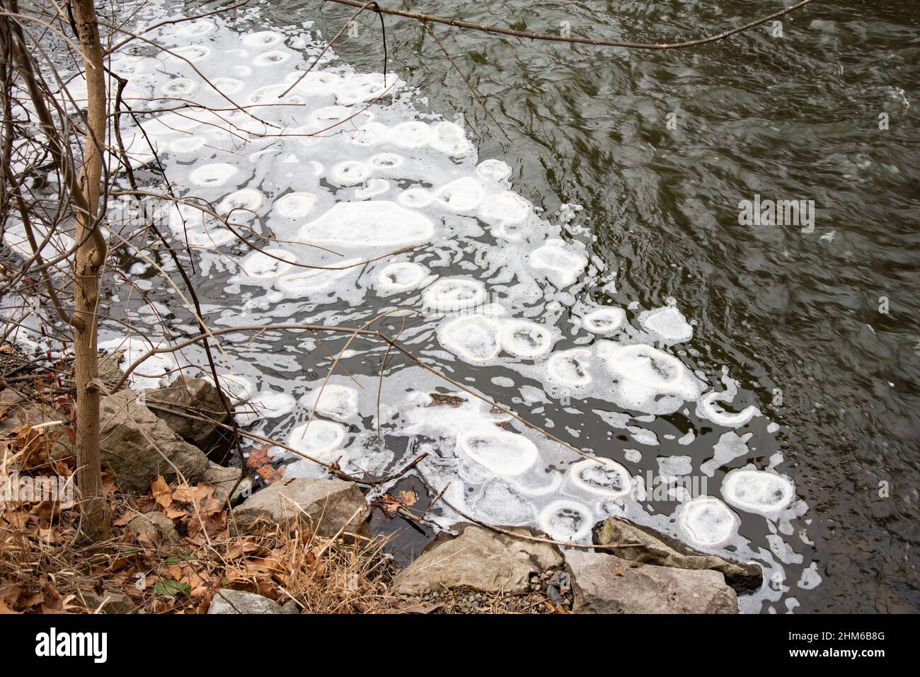 Ice discs, ice circles, ice pans, ice pancakes or ice crepes are a very rare natural phenomenon that occurs in slow moving water in cold climates. Stock Photo