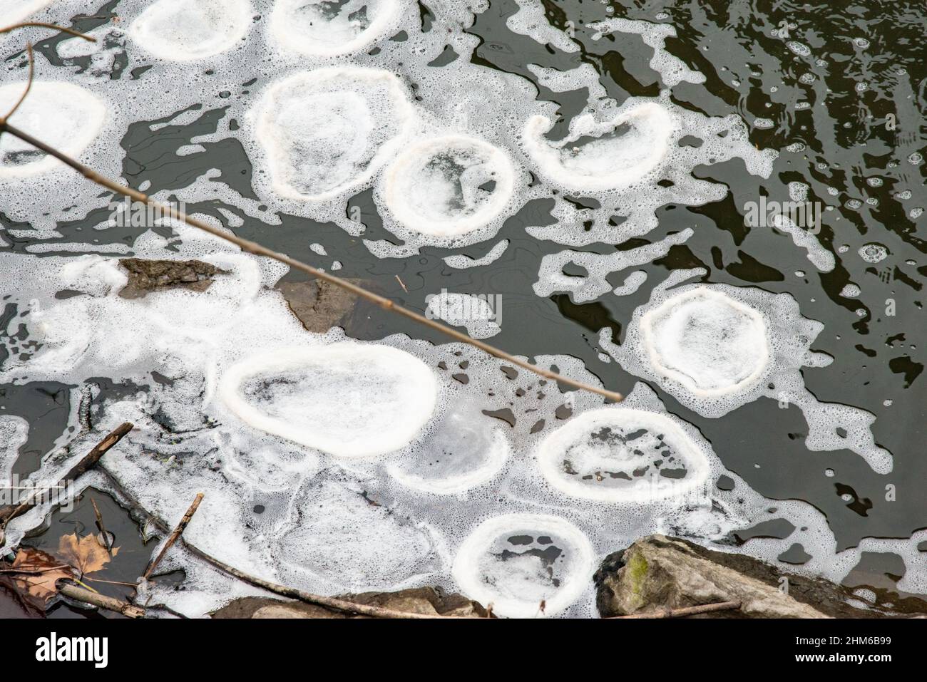 Ice discs, ice circles, ice pans, ice pancakes or ice crepes are a very rare natural phenomenon that occurs in slow moving water in cold climates. Stock Photo