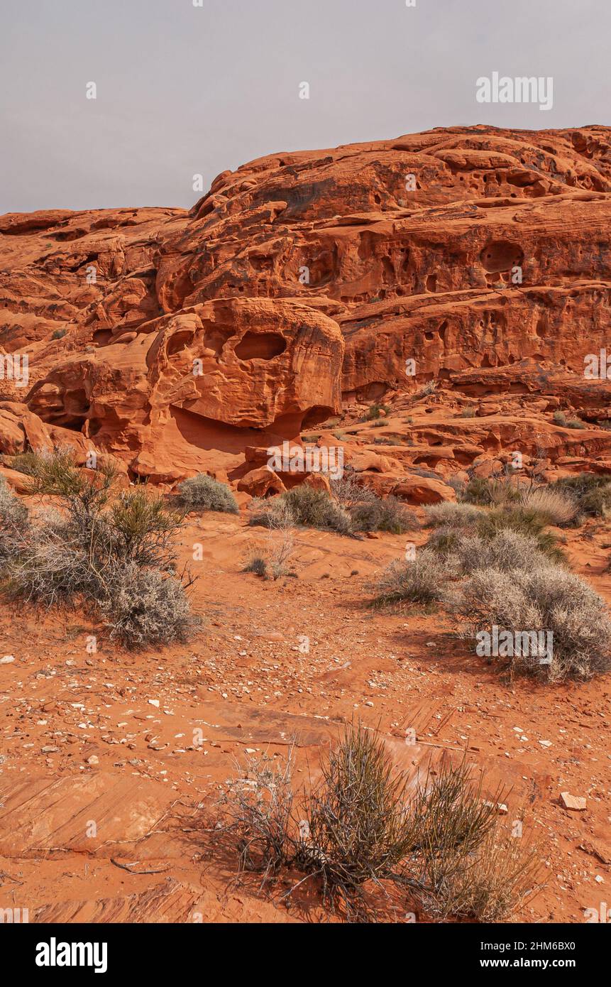 Overton, Nevada, USA February 25, 2010 Valley of Fire. Landscape